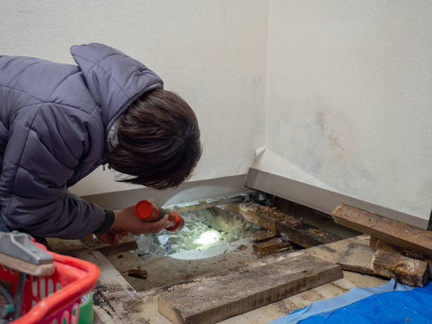 Mold Removal for HVAC Installations in Dearborn, MI