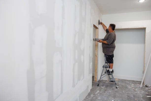 Best Basement Mold Removal  in Dearborn, MI