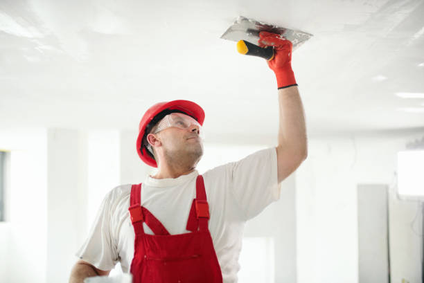 Best Residential Mold Inspection & Testing  in Dearborn, MI